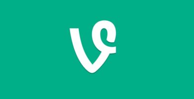 Vine – Trae 3 nuevas característica en su actualización