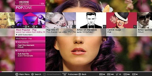 4. Vidzone