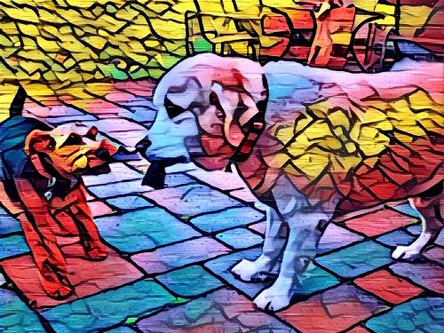 Arte