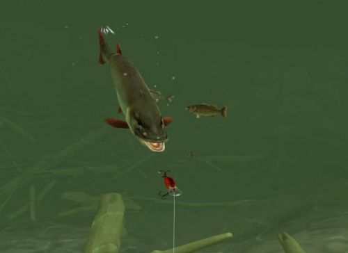 El mejor simulador de pesca