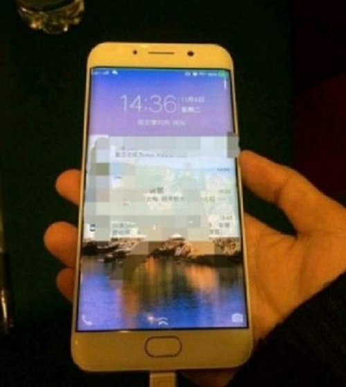 vivo-1