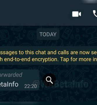 Pronto se podrán verificar los mensajes reenviados en WhatsApp