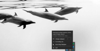 Cambia el fondo de escritorio diariamente con la nueva aplicación de Bing