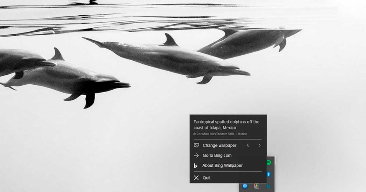 Cambia el fondo de escritorio diariamente con la nueva aplicación de Bing