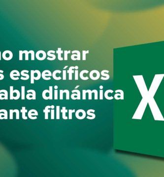 Como mostrar valores específicos en una tabla dinámica mediante filtros