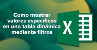 Como mostrar valores específicos en una tabla dinámica mediante filtros
