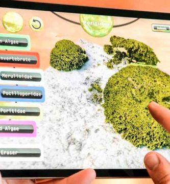 La NASA quiere tu ayuda para mapear los arrecifes de coral del mundo