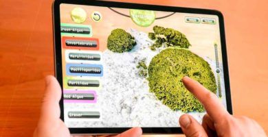 La NASA quiere tu ayuda para mapear los arrecifes de coral del mundo