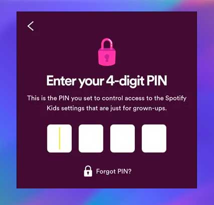 introduce pin 4 digitos
