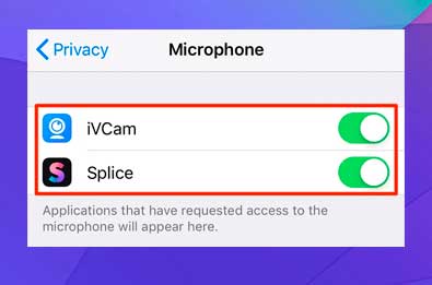 Activa el interruptor de las aplicaciones de tu cámara web