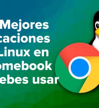 Las Mejores aplicaciones de Linux en Chromebook que debes usar