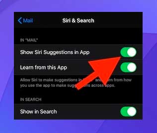 Mostrar sugerencias de Siri en la aplicación