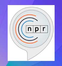 NPR News Now