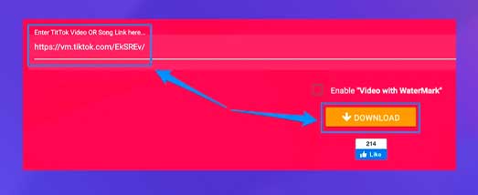 Pegue el enlace de vídeo TikTok y haga clic en Descargar