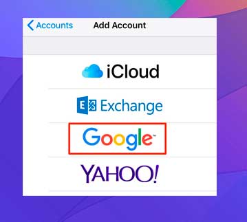 Selecciona Google en las opciones disponibles