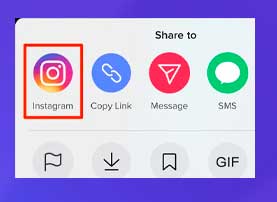 Selecciona Instagram en el menú Compartir