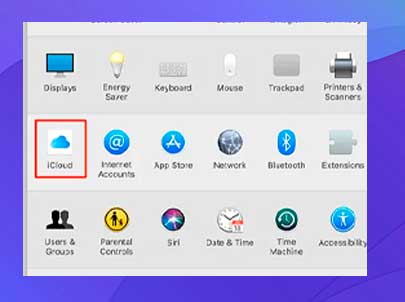Selecciona iCloud