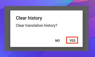 Seleccione Sí para eliminar el historial