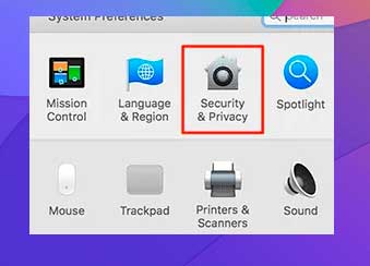 Seleccione la opción Seguridad y privacidad