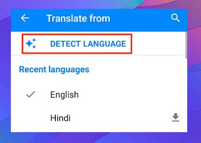 Usar Google Translate como diccionario