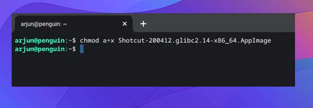 abra el terminal Linux y escriba chmod a+x