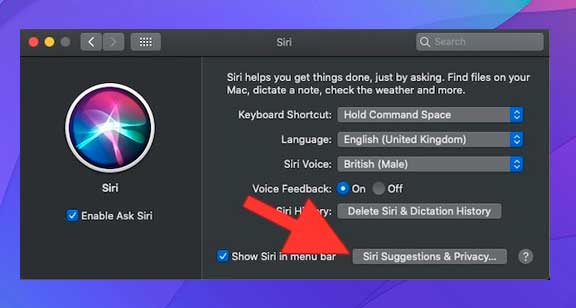 clic en Sugerencias y privacidad de Siri