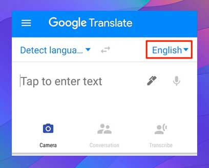 elegir idioma desitno