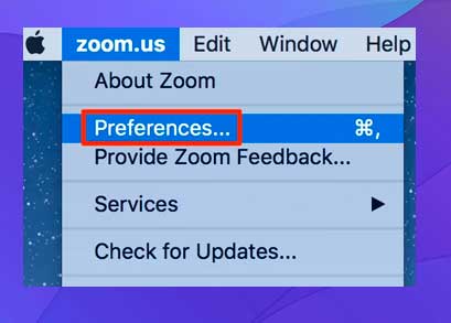 seleccione Preferencias en zoom