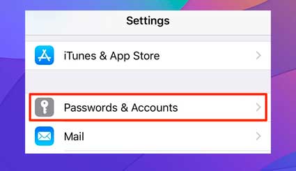 toca la opción Contraseñas y cuentas