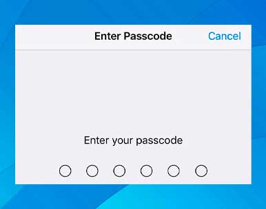 Introduzca el código de acceso
