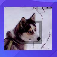 SmillaEnlarger