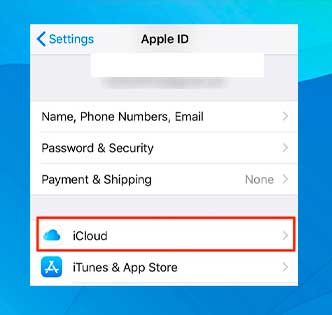 Toca la opción iCloud en la siguiente pantall
