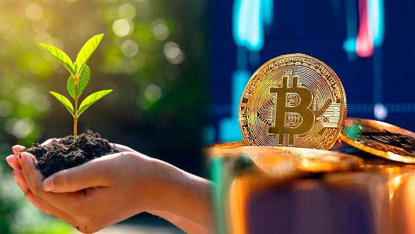 ¿Por qué la minería del bitcoin se está convirtiendo en una aberración ecológica?